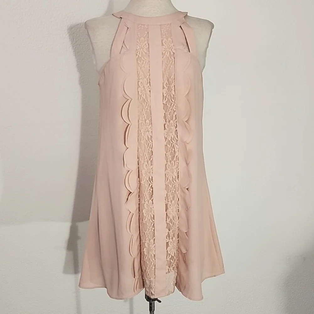 Altered States Dress Lace Panel with Scalloped Ruffle Trapeze Style Pink Size M - Picture 4 of 14